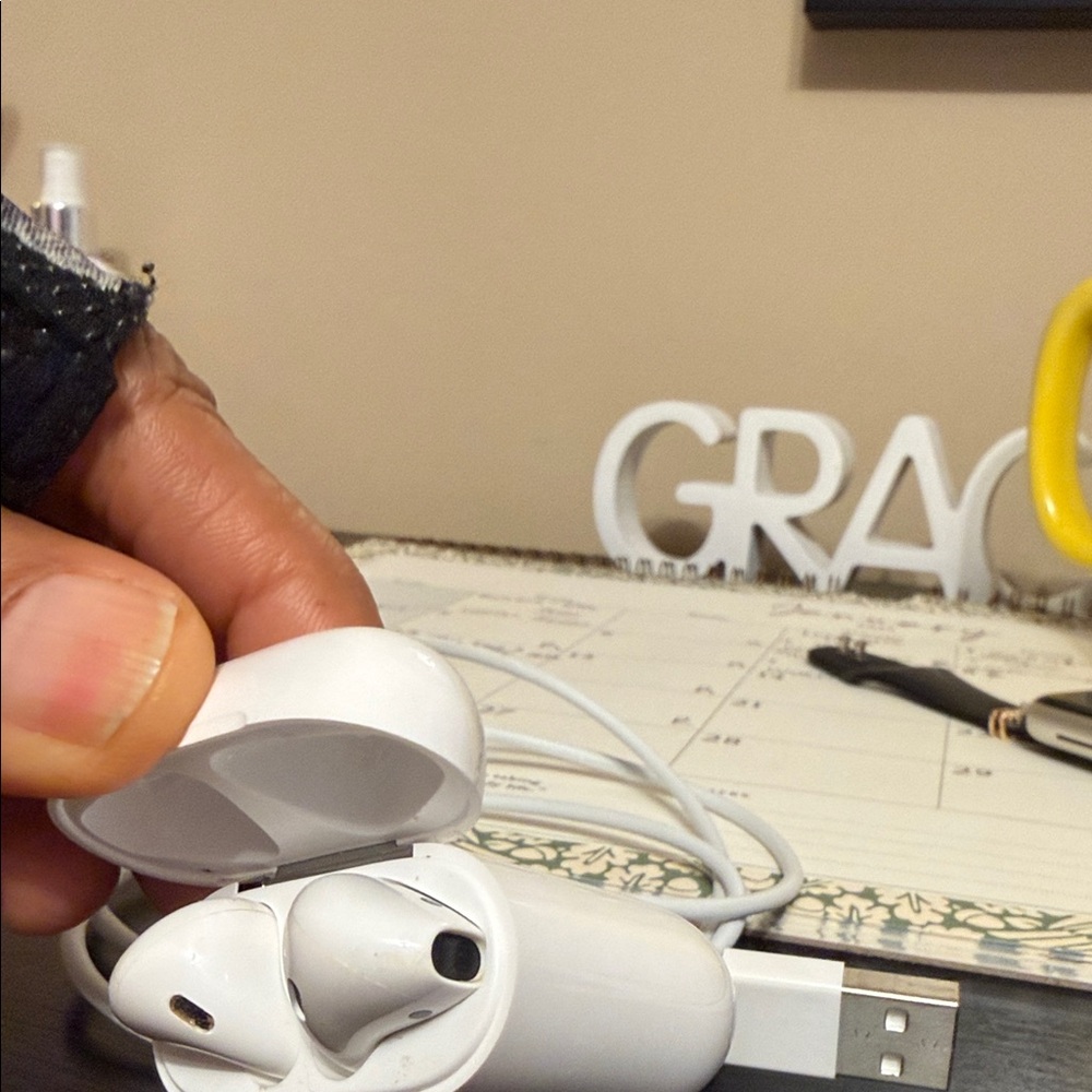 Apple earbuds